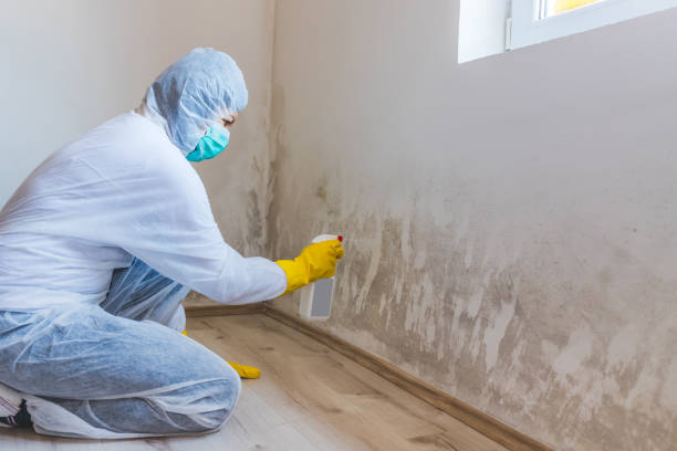 Commercial Mold Remediation assessment for commercial property in Stony Creek