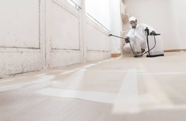 Black mold remediation team in Stony Creek